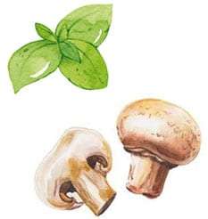 water basil shroom