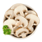 shrooms addon